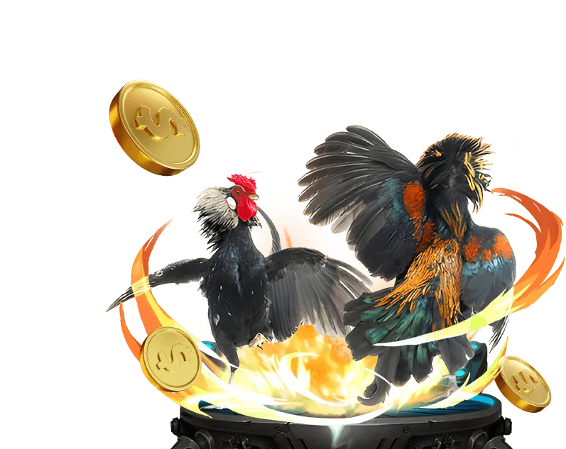 Đá gà Thomo trực tiếp 58vin