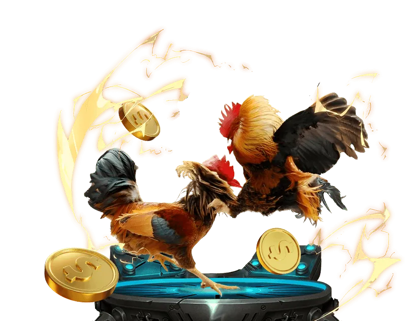 Đá gà Campuchia 58vin